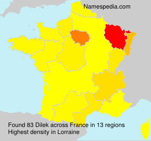Surname Dilek in France