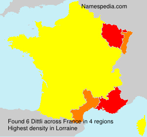 Surname Dittli in France