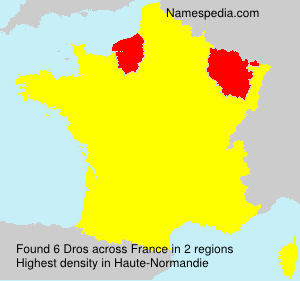 Surname Dros in France