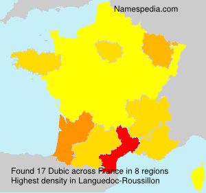 Surname Dubic in France