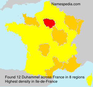 Surname Duhammel in France