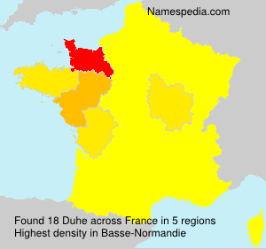 Surname Duhe in France
