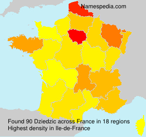 Surname Dziedzic in France