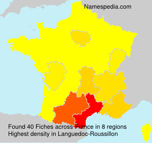 Surname Fiches in France