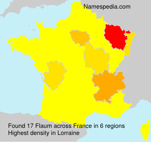 Surname Flaum in France