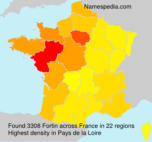Fortin Namensbedeutung Und Herkunft