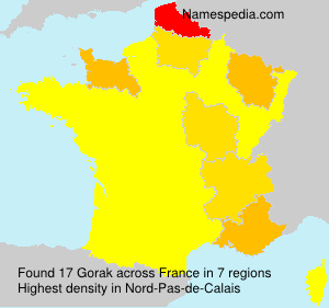 Surname Gorak in France