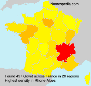 Surname Goyet in France
