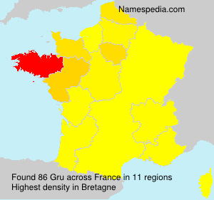 Surname Gru in France