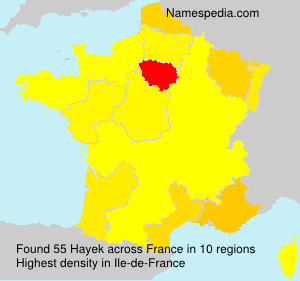 Surname Hayek in France