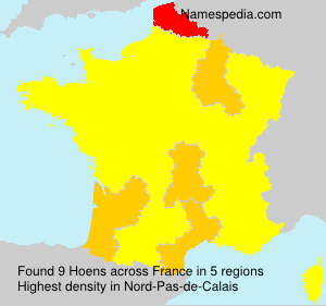 Surname Hoens in France