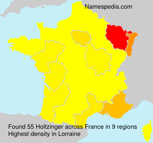 Surname Holtzinger in France