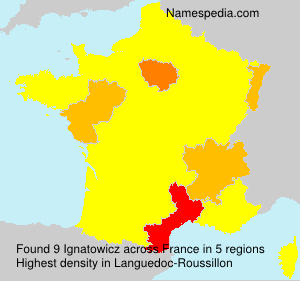 Surname Ignatowicz in France
