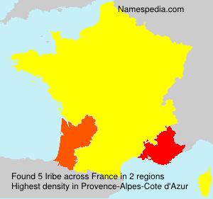 Surname Iribe in France