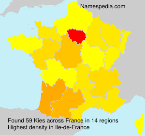 Surname Kies in France