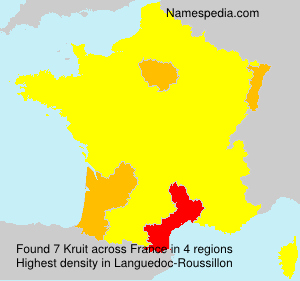 Surname Kruit in France