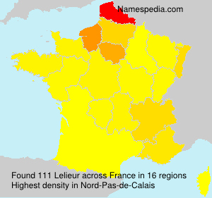 Surname Lelieur in France