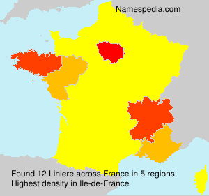 Surname Liniere in France