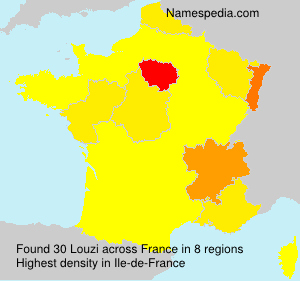 Surname Louzi in France