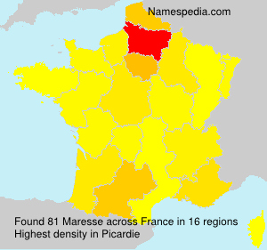 Surname Maresse in France