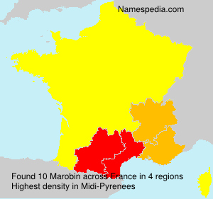 Surname Marobin in France