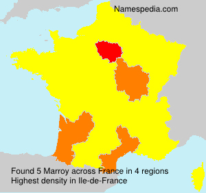 Surname Marroy in France