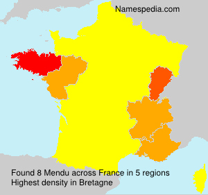 Surname Mendu in France