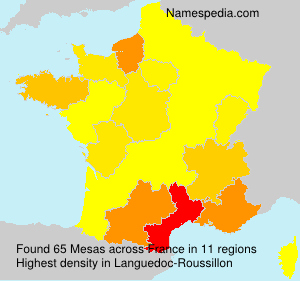 Surname Mesas in France
