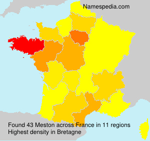 Surname Meston in France