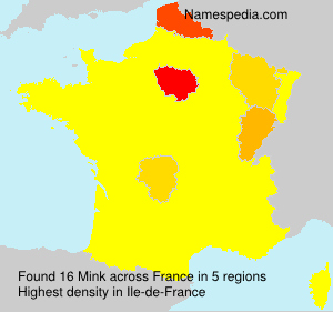 Surname Mink in France