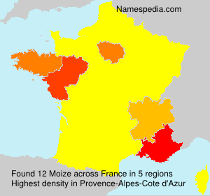 Surname Moize in France