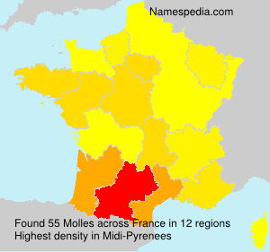 Surname Molles in France
