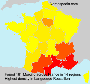 Surname Morcillo in France