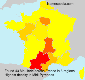 Surname Mouliade in France