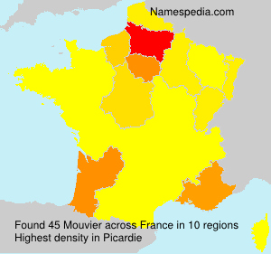 Surname Mouvier in France