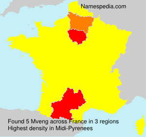 Surname Mveng in France