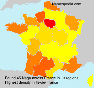 Surname Naga in France