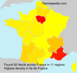 Surname Necib in France
