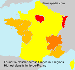 Surname Nessler in France