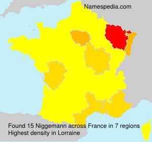 Surname Niggemann in France