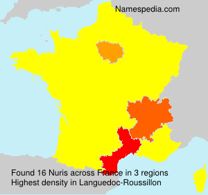 Surname Nuris in France