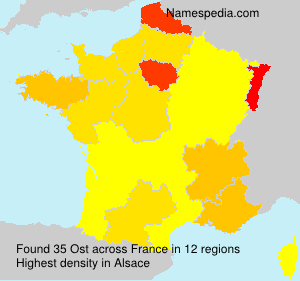 Surname Ost in France
