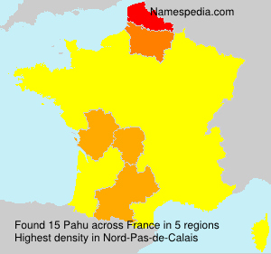 Surname Pahu in France