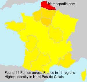 Surname Panien in France
