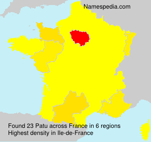 Surname Patu in France