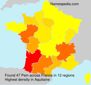 Surname Pein in France