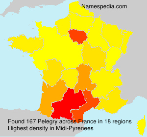 Surname Pelegry in France