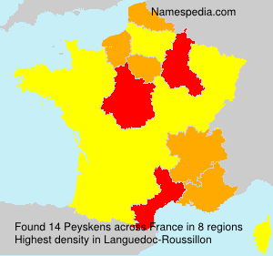 Surname Peyskens in France