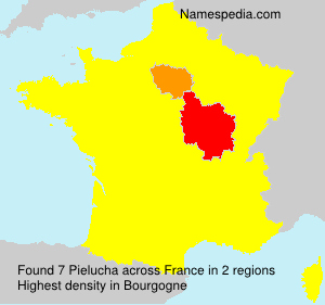Surname Pielucha in France