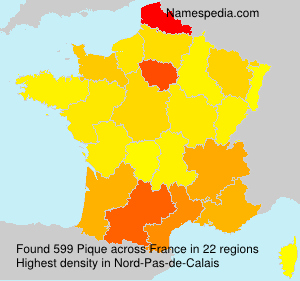 Surname Pique in France